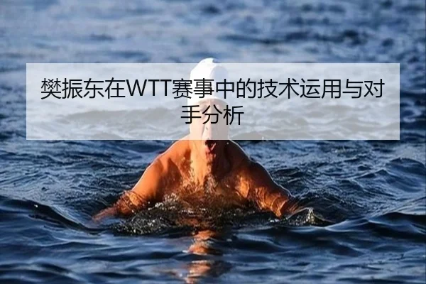 樊振东在WTT赛事中的技术运用与对手分析