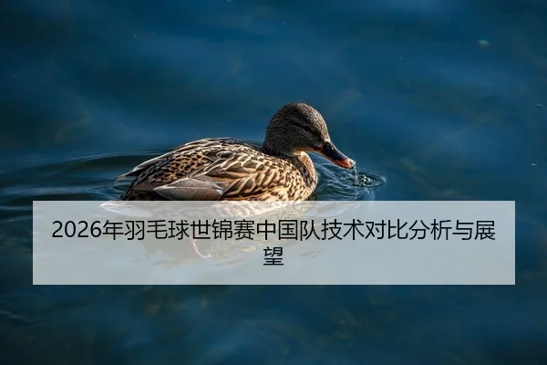 2026年羽毛球世锦赛中国队技术对比分析与展望