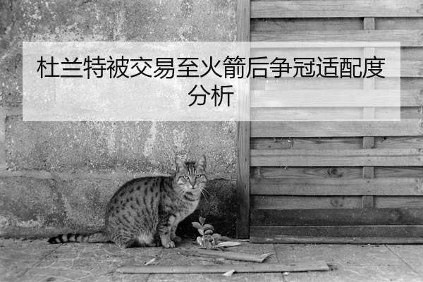 杜兰特被交易至火箭后争冠适配度分析