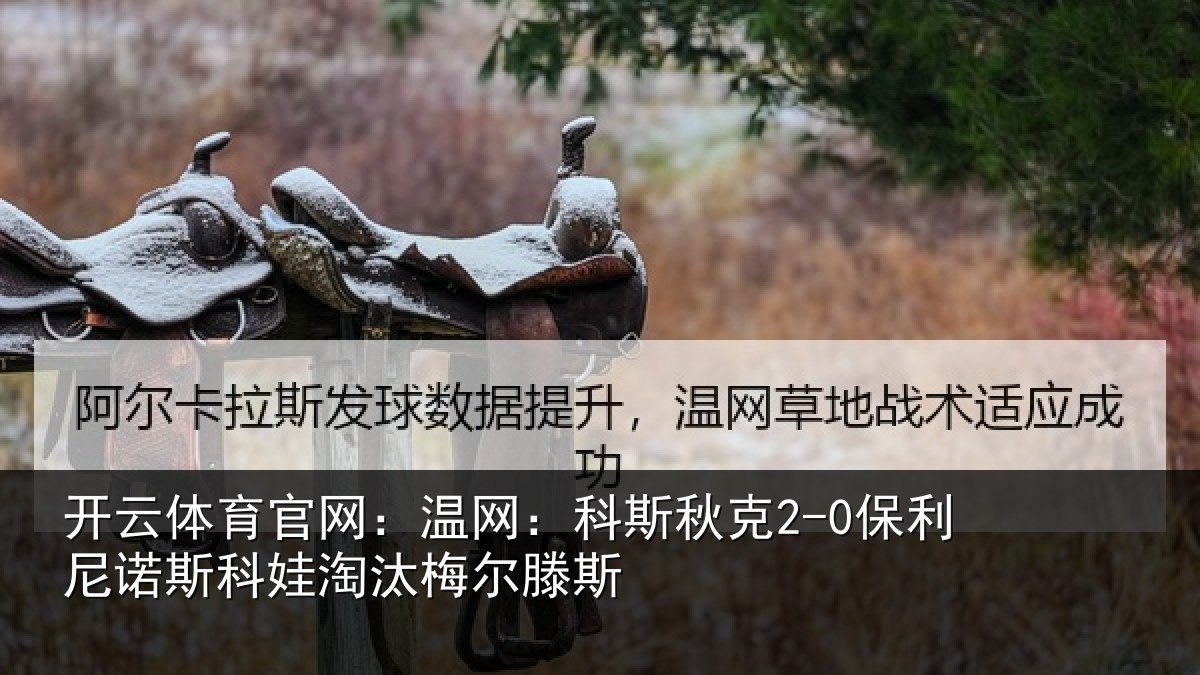 开云体育官网：温网相关情况斯科娃淘汰梅尔滕斯