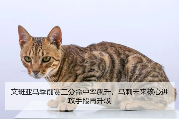 文班亚马季前赛三分命中率飙升，马刺未来核心进攻手段再升级