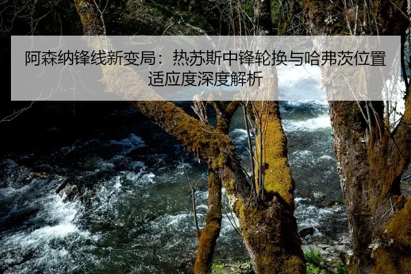 阿森纳锋线新变局：热苏斯中锋轮换与哈弗茨位置适应度深度解析