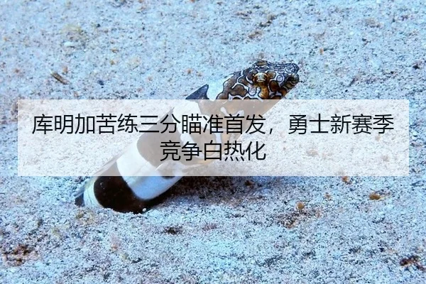 库明加苦练三分瞄准首发，勇士新赛季竞争白热化