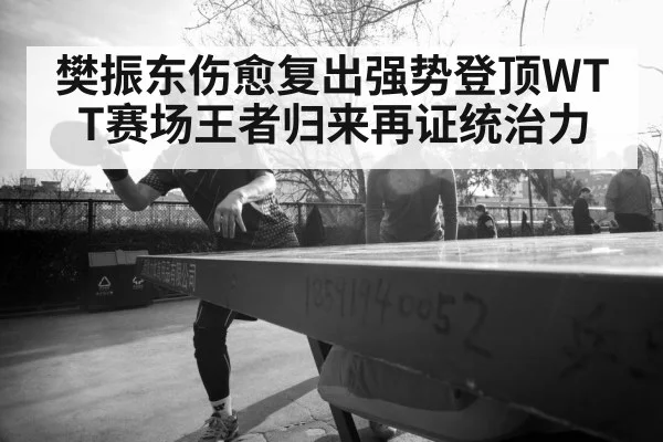 樊振东伤愈复出强势登顶WTT赛场王者归来再证统治力